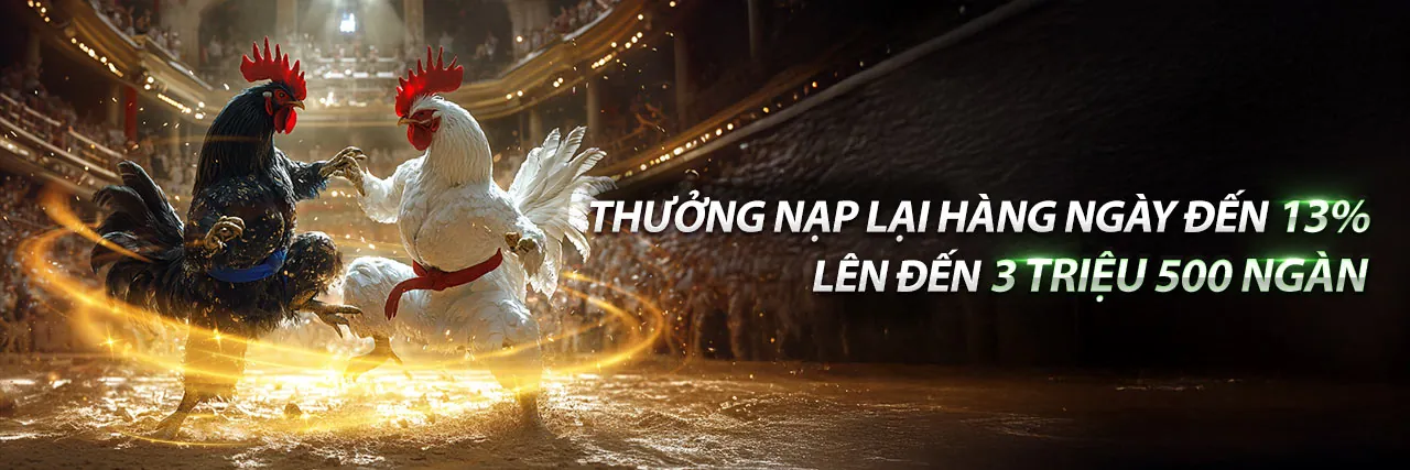 Banner khuyến mãi c88 chính thức với tiền thưởng và biểu tượng vàng
